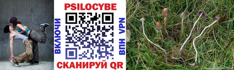 купить закладку  blacksprut ТОР  Псилоцибиновые грибы Cubensis  Циолковский 