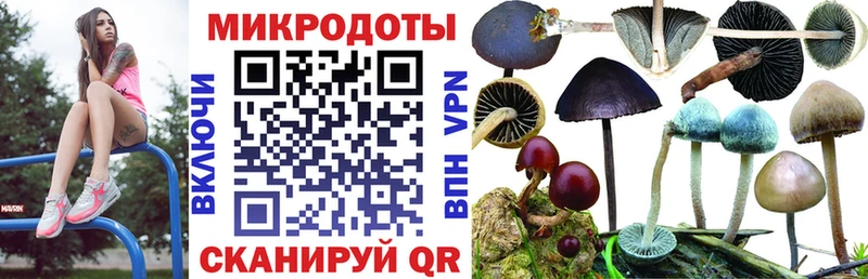 Галлюциногенные грибы GOLDEN TEACHER Циолковский